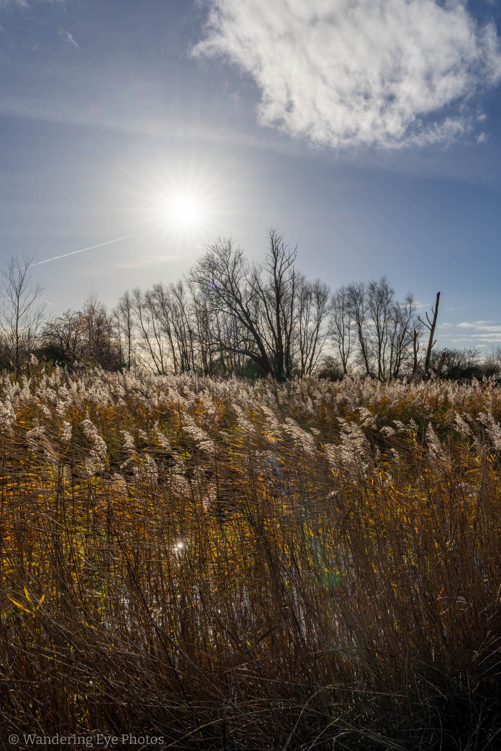 11.24 12.18.51   DSC01617 HDR